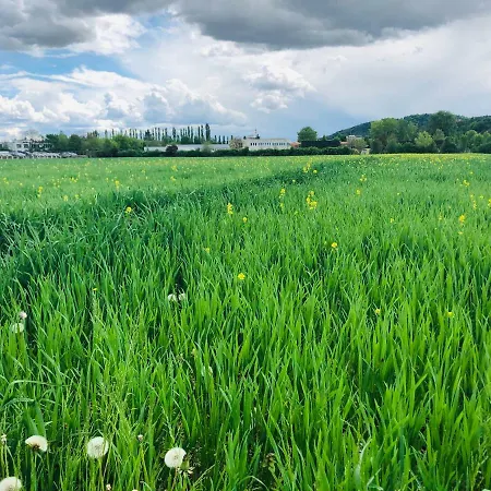 Проживание в семье Green Field Shared *